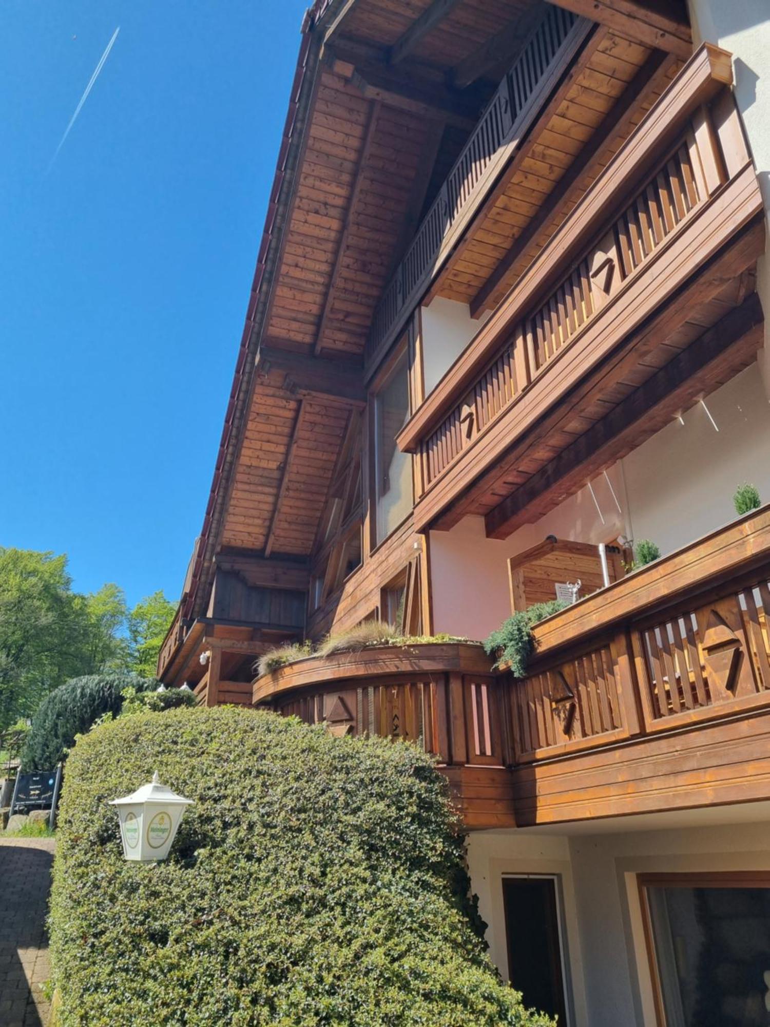 Landhaus Talblick-Adult Only Brotterode Exterior foto